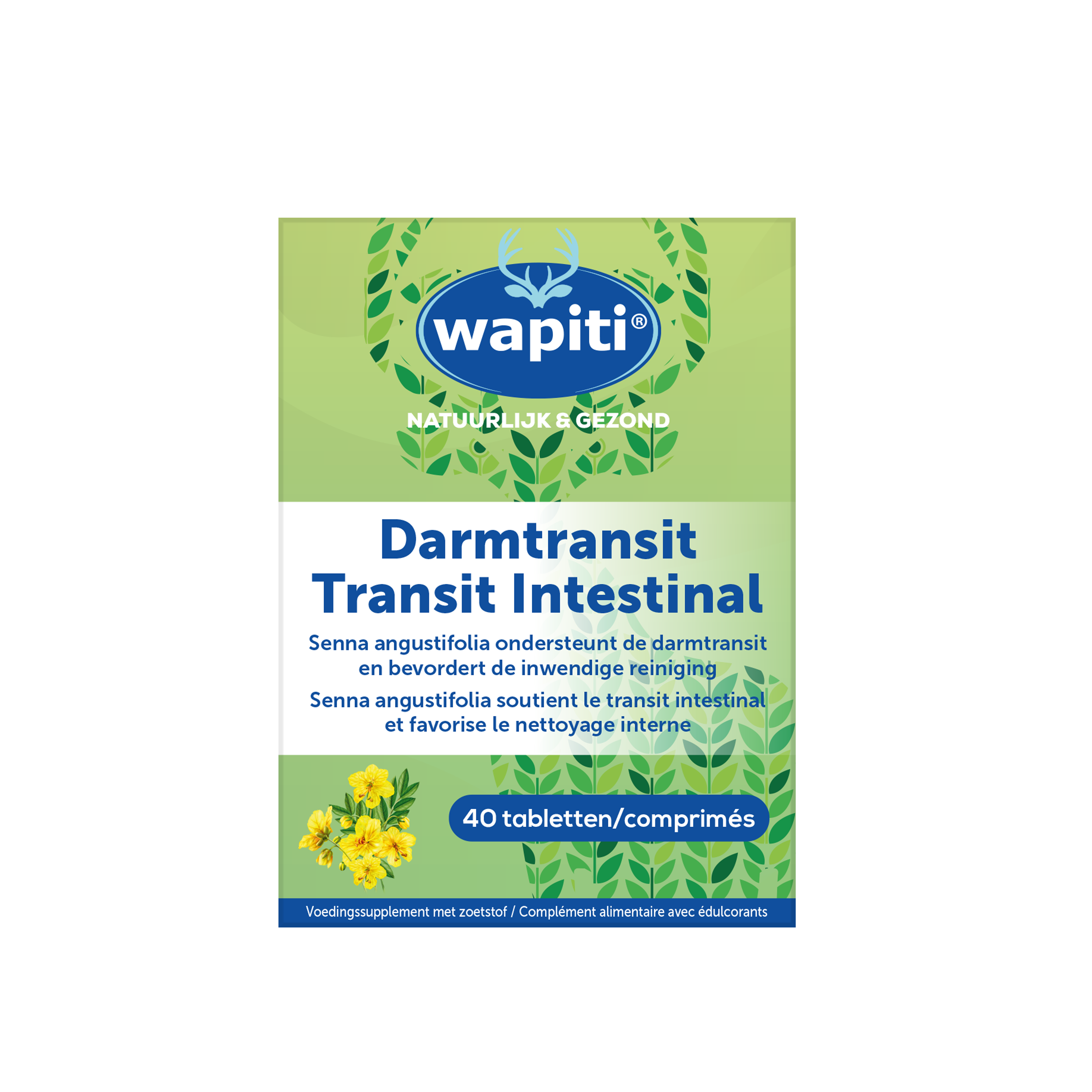 Wapiti Transit intestinal 40pc PL1835/1